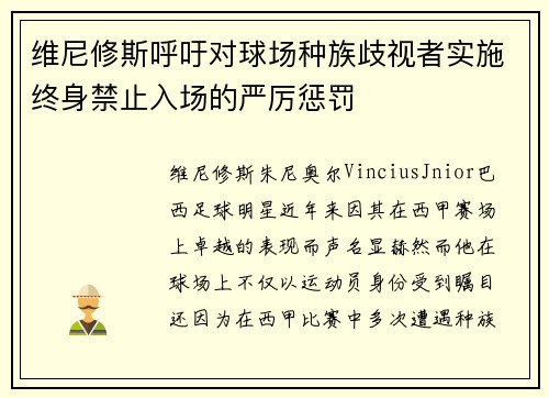 维尼修斯呼吁对球场种族歧视者实施终身禁止入场的严厉惩罚